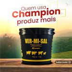 Vermisal Pote 1.110g - Champion