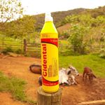 CIDENTAL LIQUIDO 250 ML