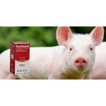 Fortlozin Tilosina 20% Antimicrobiano Amplo Especto 100Ml