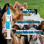 Intrasec Vs 8g Vaca Seca Ja Saude Animal