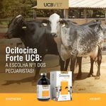 Ocitocina Forte Ubcvet - 100 Ml
