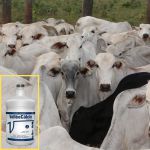 VALLEECALCIO 500 ML