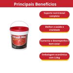 Vitasil Mix Suplemento Vitamínico Equinos 2,5kg Vansil