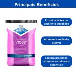 LEITE EM PO SPRAYFO VIOLETA 25KG