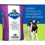 LEITE EM PO SPRAYFO VIOLETA 25KG