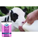 LEITE EM PO SPRAYFO VIOLETA 25KG