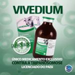 VIVEDIUM 4G+DILUENT 200ML BR