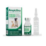 Ampicilina Veterinária Injetável 2g - Vetnil