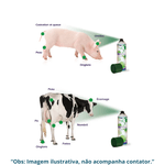 REPIDERMA SPRAY 250ML X1CAN BL