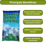BIOX PHOS OVINOS E CAPRINOS 5 KG 