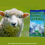 BIOX PHOS OVINOS E CAPRINOS 5 KG 