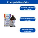 Catol + Noxon 100 ml Butafosfan + Vitamina B12 + Cobalto