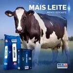 REAL H MAST 100 20KG