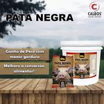 PATA NEGRA 1KG