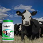 Tanidil Larvicida Mata bicheira Bovinos e Equinos 2kg Elanco