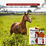 Flumax 100ml - Ja Saúde Animal