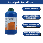 POLIFORTE ORAL 1LT