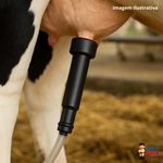 TETEIRAS DE BORRACHA INABOR WF CURTA – PACOTE COM 4 UNIDADES