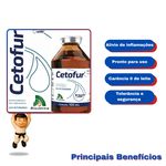 CETOFUR 100 ML