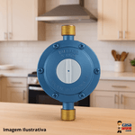 Regulador De Gás Semi Industrial Azul 506/03 - Aliança