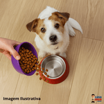 MAGNUS RAÇÃO TODO DIA CÃO ADULTO PORTE PEQ CARNE/FRANGO 15KG