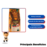 Special Dog Gold Performance Adultos Carne E Frango 15kg