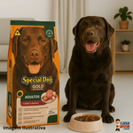 Special Dog Gold Performance Adultos Carne E Frango 15kg
