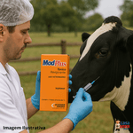 MOD PLUS INJ 1000ML