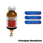 IZOOT B12 INJETAVEL 50 ML AGENER