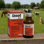 IZOOT B12 INJETAVEL 50 ML AGENER