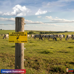 Placa Advertência Nellore