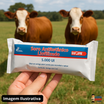 Soro Antitetânico Lema Quente - 5 Ml