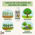 Citromax Calpik Sulfato De Cobre Pika Pau 1L