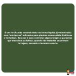 Citromax Calpik Sulfato De Cobre Pika Pau 1L