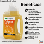 COLOSSO POUR-ON 1 LT