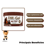 DM GEL 300 GR