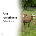 Tela BE/MO Mangueirão 1,5m - Morlan