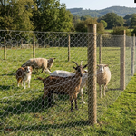 Tela BE/MO Mangueirão 1,5m - Morlan