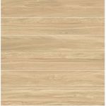 PISO FORMIGRES PREMIUM AMENDOLA HD RT 20X120CM