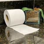 Papel Higiênico Folha Dupla 30m Personal Vip - 4 Rolos