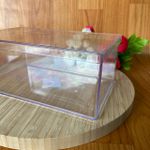Caixa Cake Box Retangular 19,5x8,4cm Transparente Unidade