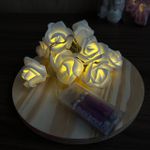 FIO DE LED /10 LUZES AMAR. 2MT UN ROSA DE EVA CORES