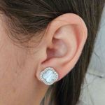 Brinco Com Zircônia Trevo Prata Branco 