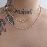 Colar Duplo Folheado a Ouro 18K Com Zircônia Trevo e Riviera 