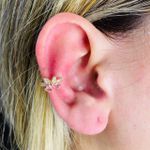Piercing Fake Zircônia Dourado Rosa 