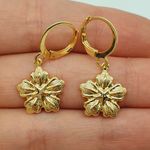 Mini Argola Folheada A Ouro 18K Estrelinha