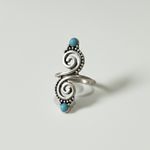 Anel de Inox com Pedra Country Tam 20