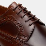 Sapato Derby CNS+ Brogue Troll 3 Whisky