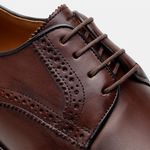 Sapato Derby CNS+ Brogue Ramy 1 Havana