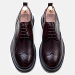 Sapato Derby CNS+ Brogue Lan 11 Açaí